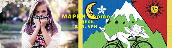2c-b Пестово