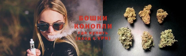 spice Аркадак